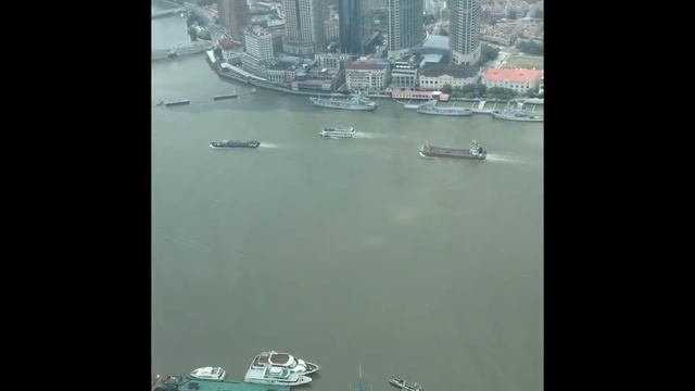 View from Oriental Pearl TV Tower, Shanghai смотреть онлайн