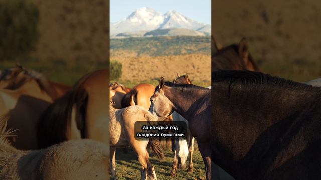 Как снизить размер налогов инвестору ч.2