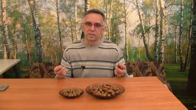 Как вырастить дуб. Заблуждение о желудях. смотреть онлайн