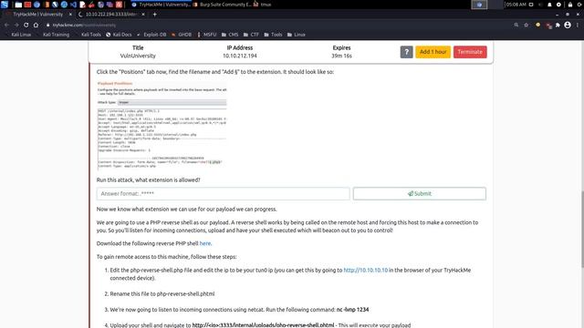 TryHackMe - Vulnversity Walkthrough смотреть онлайн