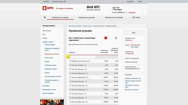 Добавление услуг в Интернет Помощнике МТС смотреть онлайн