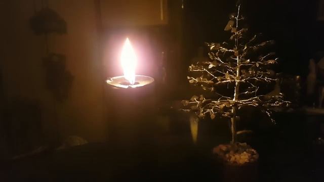 Тропою черного кота смотреть онлайн