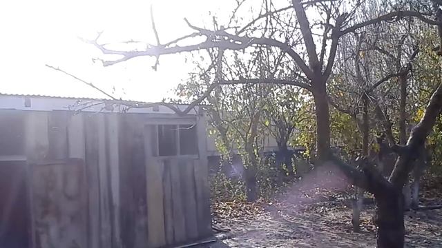 Test Camera THL t6s phone. Camera 5 Mpx. (Тест камеры телефон THL t6s . Камера 5 Мпикс.) смотреть онлайн