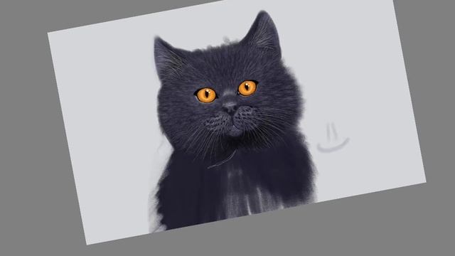 Британский котик заключительная часть. Как рисовать шерсть. смотреть онлайн