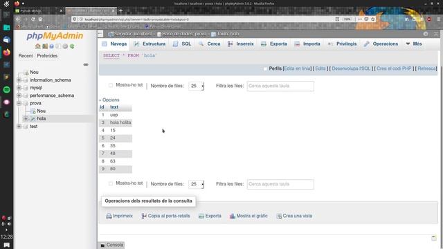 Python + MySQL - Conexión y consultas con Python смотреть онлайн