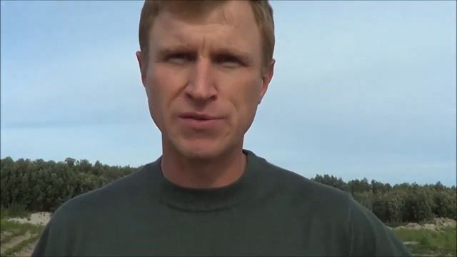 Эко18 Амбиции, Промежуточные итоги выращивания картофеля 31,08,17 смотреть онлайн