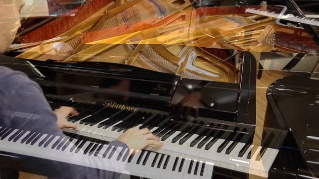 Blüthner Model One (9'2") смотреть онлайн