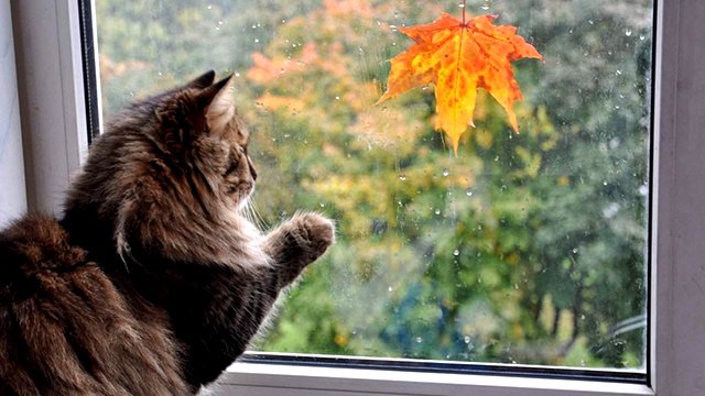 Алла Пугачёва - "До свиданья, лето" смотреть онлайн