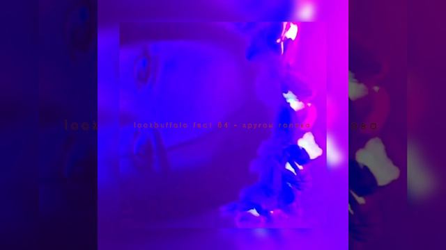 // Lookbuffalo Feat 84 - кругом голова //