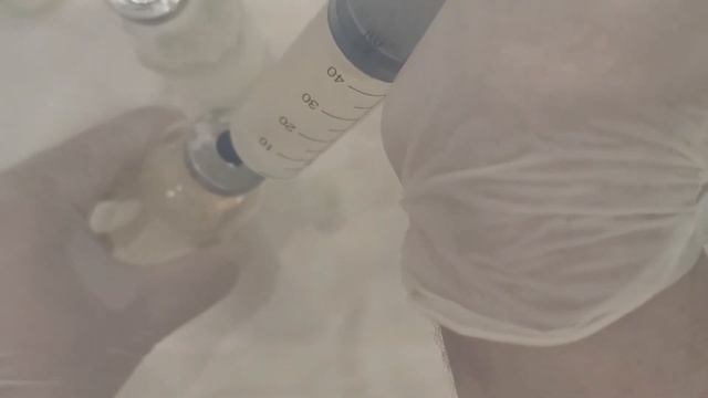 15. Начинаем процесс инокуляции бурого риса жидким мицелием ежовика (ежёвика ) гребенчатого. смотреть онлайн