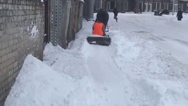 у леса на опушке