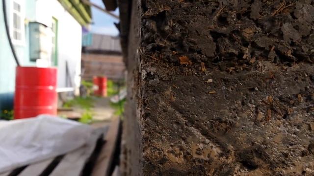 монолитный арболит(опилкобетон) ,Снятие опалубки. (7,2×13,5) смотреть онлайн