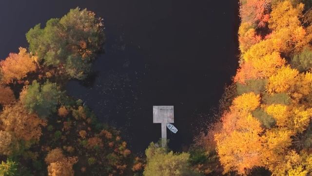 Заявившись к молодой, трое беглых хотели ее проучить. Но стоило ей свистнуть, как те взвыли от боли смотреть онлайн