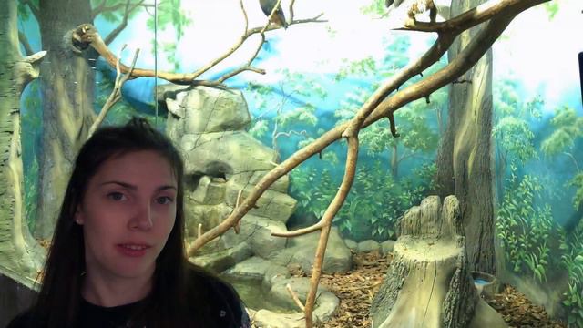 Крокус сити ОКЕАНИЯ 19.01.2018 смотреть онлайн