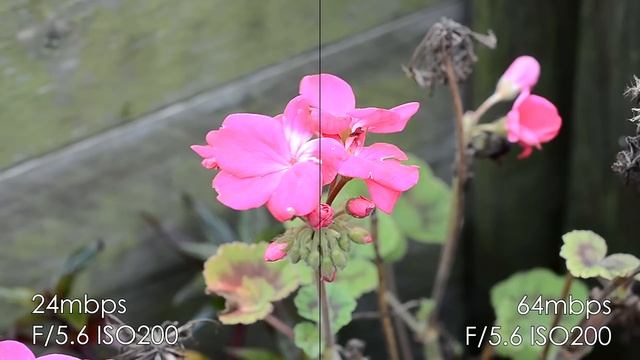 Nikon D7000 24 vs 64 mbps Bitrate Comparison - Nikon Hacks смотреть онлайн