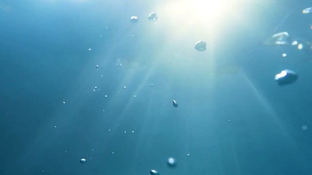 Whale Sound 3 Hours | White Noise | Whale Sound For Relaxation, Sleep, Study, Focus And Meditation