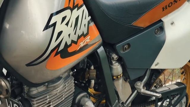 XR 250 BAJA смотреть онлайн