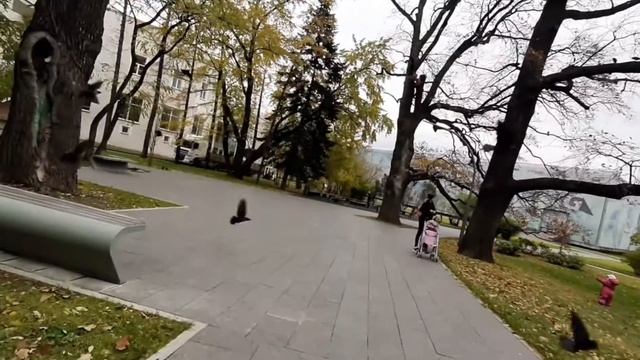 Москва. ВДНХ. Прогулка по Латвийскому скверу. Детское посольство. Природа смотреть онлайн