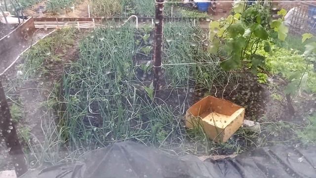 16 июня 2022 г. А выше неба над землей гроза... смотреть онлайн