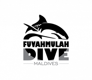 Замедленное