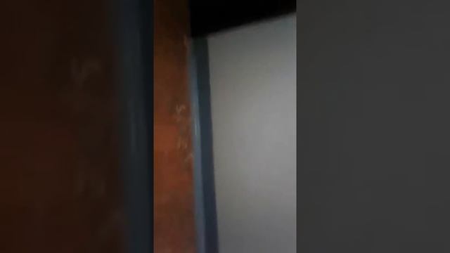 Тольяттинских мусарв в полицию переименовали смотреть онлайн