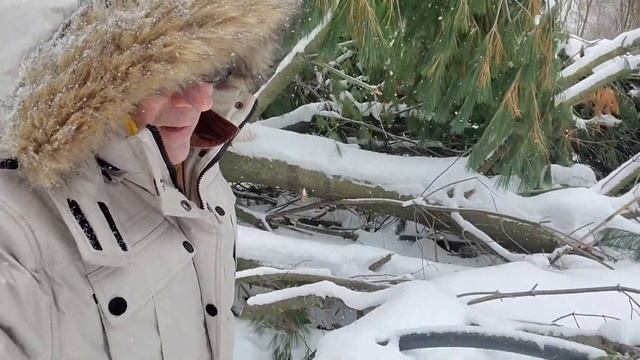 Condor Hudson Bay knife review with winter survival смотреть онлайн