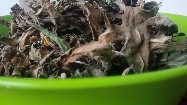 СЕМЕНА МОРКОВИ ЧИСТЯТ ПОЧКИ И МОЧЕПОЛОВУЮ СИСТЕМУ 26.05.2022 смотреть онлайн