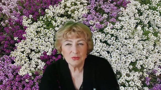 Ароматный бордюрный однолетник Алиссум, выращивание и уход. смотреть онлайн