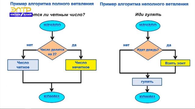 Информатика 5-класс (Основные алгоритмические конструкции) смотреть онлайн
