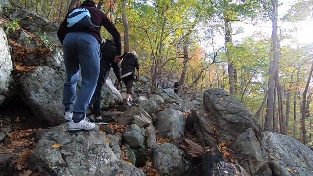 АППАЛАЧИНСКАЯ ТРОПА. ВСТРЕТИЛИ МЕДВЕДЯ. смотреть онлайн