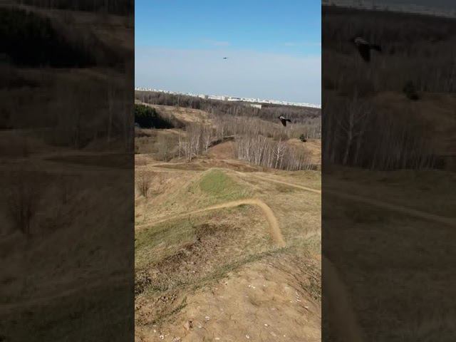 #бег #зож #тренировки #спорт #весна смотреть онлайн