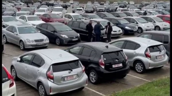 Ранок Грузии Тбилиси Как разгружают автомобили из контейнеров Америки#автоизсша #copart #avtomotors