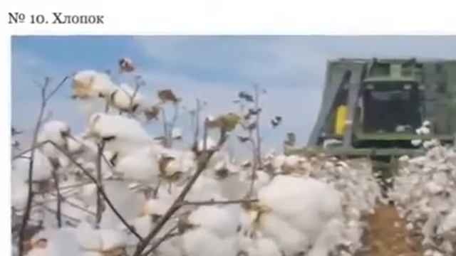 Топ 10 продаваемых товаров мир! смотреть онлайн