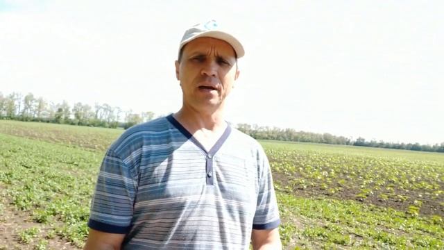 Выезд на акацию