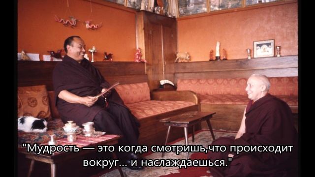 Избранные Цитаты Ламы Оле Нидала смотреть онлайн