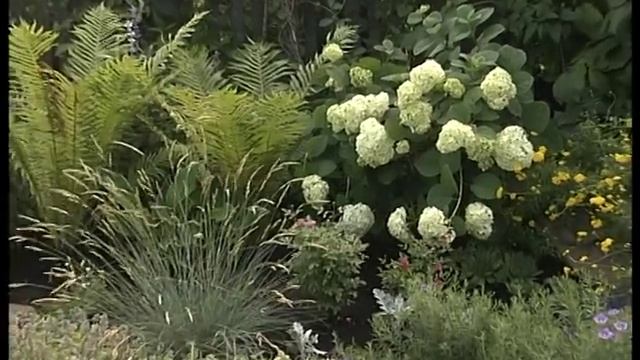 Царство цветов и камней Рокарий смотреть онлайн