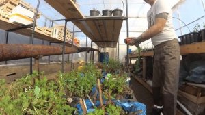 Насос для полива из бочки, забудьте о лейке . ,,,,,