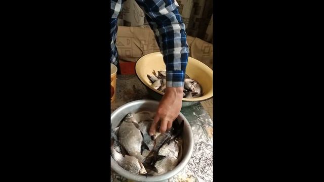 как вялить рыбу часть 1