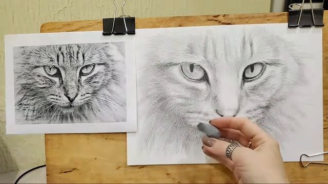 Рисуем Вместе Кота Карандашом - Онлайн Трансляция 2 - Поэтапное Рисование смотреть онлайн