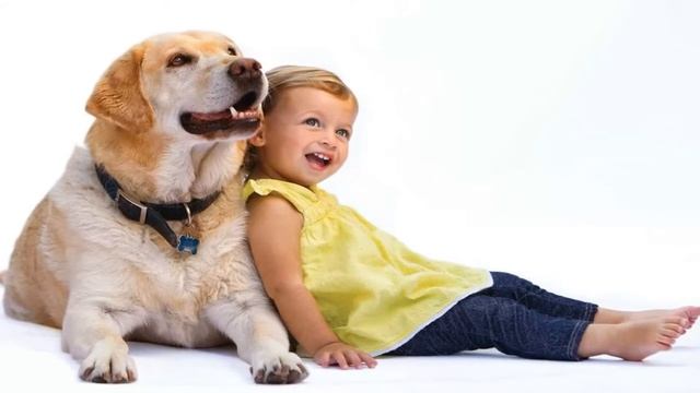 Как формировать у детей культуру обращения с животными смотреть онлайн