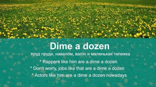 DIME A DOZEN ? - актуальные английские идиомы