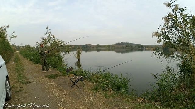 Интересная РЫБАЛКА на частном пруду города Лабинска 2019г. КУБАНЬ КЛАСС. Живите в Кайф! смотреть онлайн