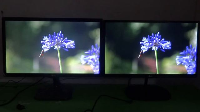 Perbandingan Monitor Panel TN VS Panel IPS смотреть онлайн
