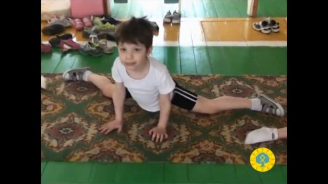 Занятия по ушу для дошкольников (Половнев А.Э.) смотреть онлайн