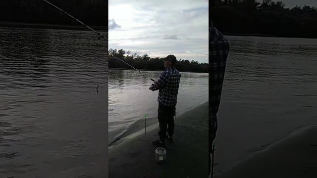 Рыбалка на Оби Алтайский край г. Барнаул #ru_kompass #обь #рыбалка #жизньвдеревне #фидер #барнаул смотреть онлайн