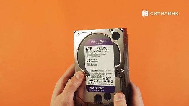 Обзор жесткого диска WD Purple WD60PURZ | Ситилинк смотреть онлайн