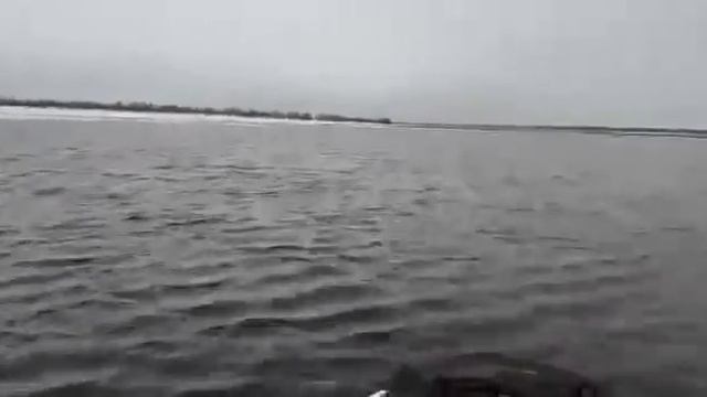 ski-doo Expedition 1200 по воде смотреть онлайн