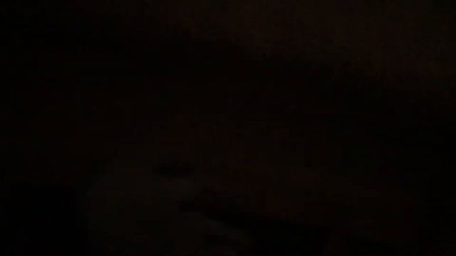 💛Котята. Мини приют в Сочи. Кошка собирает всех котят к себе в домик. 10 котяток)💛 смотреть онлайн