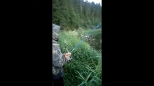 Рыбалка на реке Сылва, огромный улов на спининг