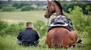 ЛЮБЭ - выйду ночью в поле с конём